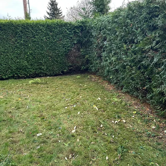 Her har vi klipt hekk og malt gavelveggen og vinduer.